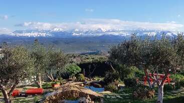 A serene garden with olive trees and red benches overlooks a small pond. In the distance, majestic snow-capped mountains rise beneath a blue sky.