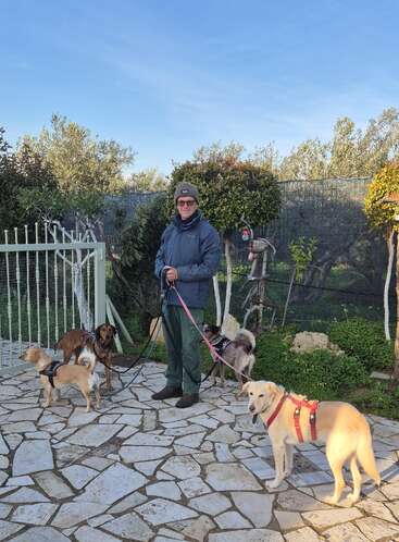 A person wearing a winter jacket and beanie is standing outside on a stone patio, holding leashes for five different dogs in a garden.