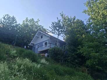 Una encantadora casa azul se alza en la ladera de una colina, rodeada de una exuberante vegetación y altos árboles, con la luz del sol filtrándose a través de ellos, creando un ambiente tranquilo y sereno propio del bosque.