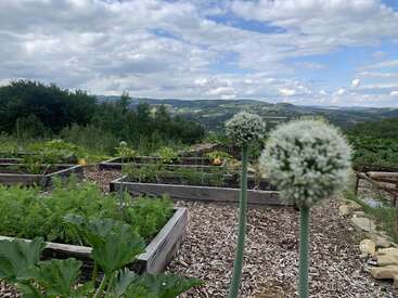 A scenic vegetable garden with raised beds overlooks rolling hills and cloudy skies. Two tall flowering onion stalks are in the foreground, with vibrant green plants throughout.