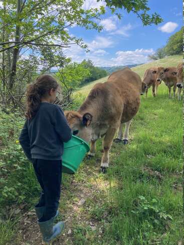 Ein junges Mädchen mit langen Haaren und Brille füttert eine braune Kuh aus einem grünen Eimer, während weitere Kühe auf einem grasbewachsenen, sonnenbeschienenen Hügel unter blauem Himmel stehen.