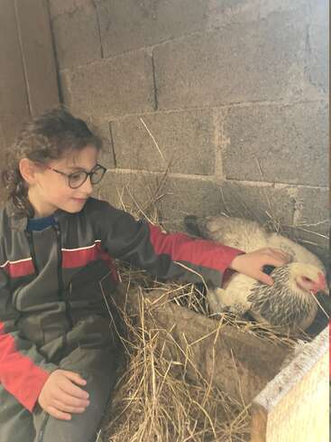 Ein kleines Kind mit Brille und Overall streichelt sanft eine weiße Henne, die in einem Nest aus Stroh in einem rustikalen Hühnerstall mit Ziegelwänden sitzt.