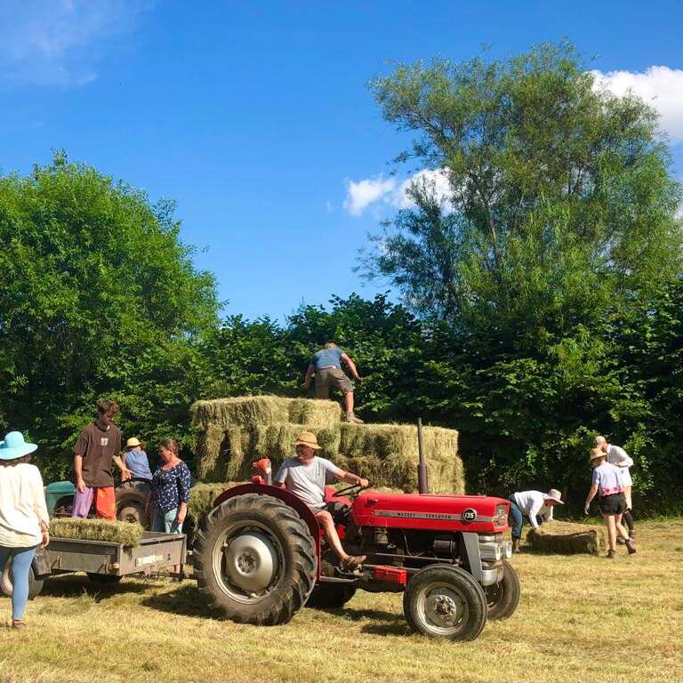 La imagen muestra a un grupo de personas trabajando juntas para cargar pacas de heno en un remolque, con una persona manejando un tractor rojo.