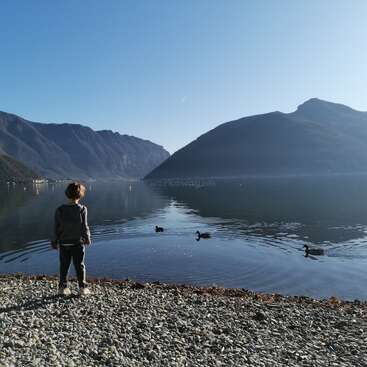 Un jeune enfant se tient sur un rivage rocheux, contemplant un lac serein, entouré de montagnes et de canards nageant dans l'eau calme.