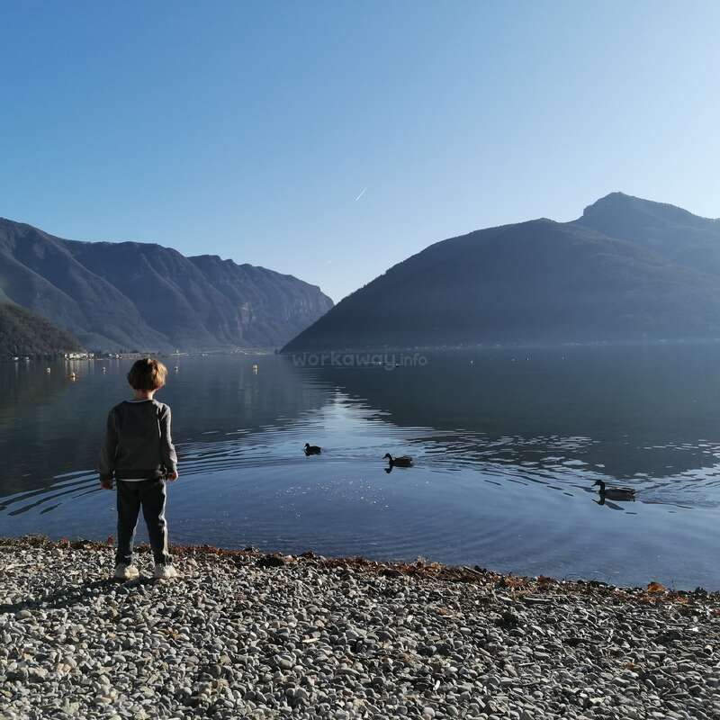Un jeune enfant se tient sur un rivage rocheux, contemplant un lac serein, entouré de montagnes et de canards nageant dans l'eau calme.