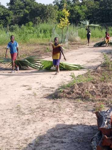 Four children are walking along a dirt path, each carrying large palm leaves, surrounded by greenery and trees, under a bright sunny sky in a rural setting.