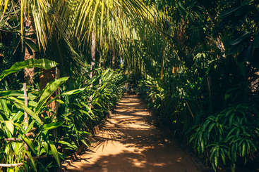 L'image représente un cadre extérieur serein, avec un espace vert luxuriant, des arbres et une étendue d'eau, évoquant un sentiment de tranquillité et de beauté naturelle.