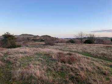 The image shows a peaceful landscape with grassy fields, scattered bushes, and bare trees under a clear blue sky at sunrise or sunset. Rolling hills in background.