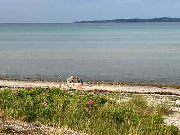 A tranquil coastal scene shows two people sitting on a sandy beach, with calm blue-green water, distant islands, and wildflowers growing in the foreground. Peaceful vibe.