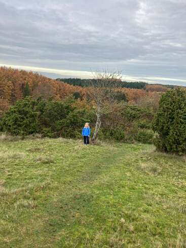 A child in a blue jacket stands on a grassy, open field. Autumn trees and cloudy skies create a serene, colorful landscape in the background.