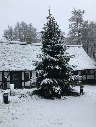 A tall Christmas tree stands outdoors, covered in snow and decorated with lights. Behind it is a traditional house, also blanketed in fresh white snow.