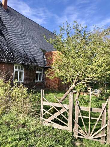 This image shows an old brick house with a sloped, weathered roof, a leafing tree, overgrown garden, and a rustic wooden gate under a blue sky.