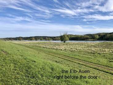 A peaceful landscape with green meadows, a winding path, scattered trees, and a calm river under a blue sky. Text reads: "the Elb-Auen right before the door."