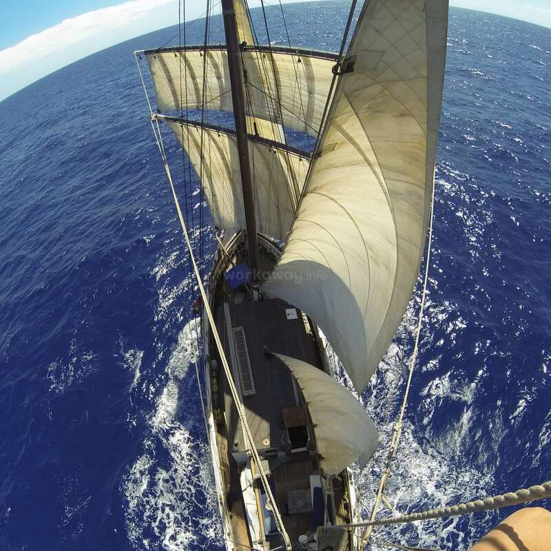 L'image représente un voilier naviguant sur l'océan, les voiles déployées et gonflées par le vent, sur fond d'eau d'un bleu profond.