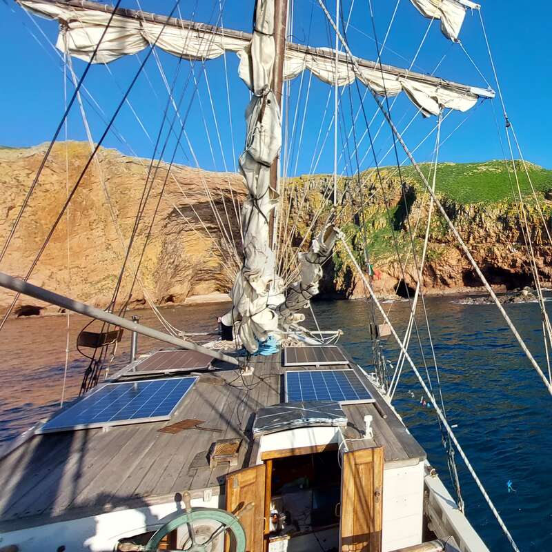 The image depicts a sailboat with a large mast and a small sail, floating on calm waters, surrounded by a clear sky, with a few trees visible in the background.