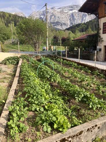 Un potager luxuriant, regorgeant de plantes vertes, s'étend à côté d'une maison. Des montagnes aux sommets enneigés et des forêts denses forment une toile de fond à couper le souffle sous un ciel partiellement nuageux.