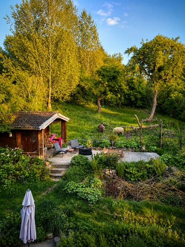 Une chalet en bois chaleureux se niche dans un jardin luxuriant, entouré de plantes vertes, de mobilier d'extérieur, de moutons qui paissent, d'arbres majestueux et de la lumière dorée du soleil couchant sous un ciel bleu.