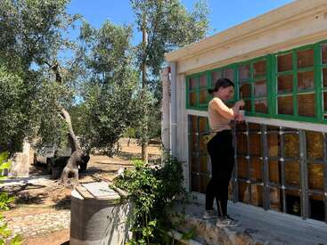 A woman stands on a ledge, cleaning or painting green-framed windows of a rustic building, surrounded by lush olive trees under a bright blue sky.