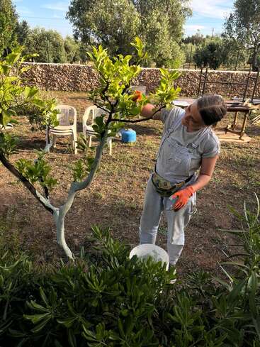 A woman in overalls and orange gloves tends to a young tree in a sunny garden, surrounded by greenery, chairs, and a rustic stone wall.