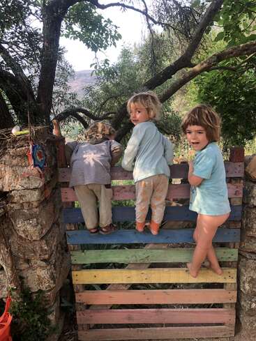 Drei kleine Kinder klettern über einen bunten Holzzaun im Freien, umgeben von Bäumen und Natur. Sie sehen neugierig und verspielt aus und genießen gemeinsam einen sonnigen, abenteuerlichen Moment.