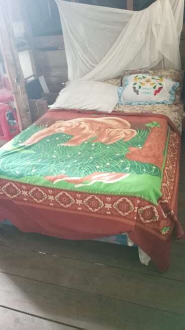 A cozy bed with a brown and green animal-themed blanket, white mosquito net, two pillows, and wooden walls, creating a rustic and homely atmosphere.