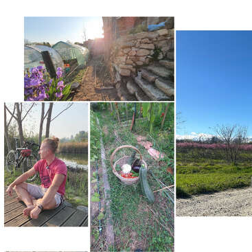 A collage of outdoor scenes: greenhouses, stone steps, a man with a bike, fresh vegetables in a basket, blooming flowers, fields, and clear blue skies.