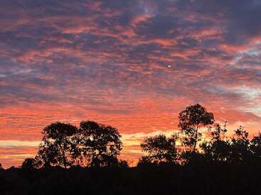 Una vibrante puesta de sol pinta el cielo con tonos naranjas, morados y rosas. Las siluetas de los árboles contrastan con el colorido atardecer lleno de nubes, creando tranquilidad.
