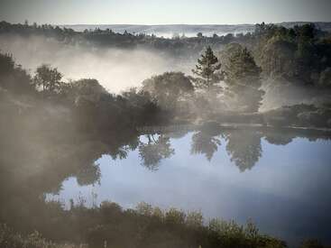 Un tranquilo lago refleja los árboles y la niebla que lo rodean. La suave niebla matutina se extiende por las verdes colinas, creando un paisaje tranquilo y etéreo bañado por una luz suave.