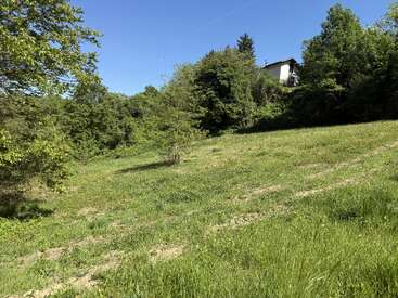 A lush green grassy field slopes upward, surrounded by dense trees under a clear blue sky. A white house is partially visible among the trees.