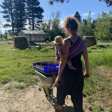 A woman carries a child in a purple wrap while pushing a wheelbarrow outdoors. They walk through a sunny, grassy farm with trees and hay bales.