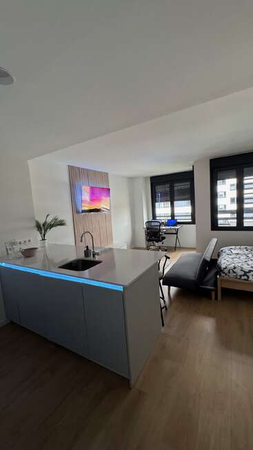 Studio moderne à la décoration minimaliste, doté d'un îlot de cuisine, d'un canapé-lit, d'une télévision murale, d'un espace de travail, de grandes fenêtres, de sols en bois et d'une plante en pot.