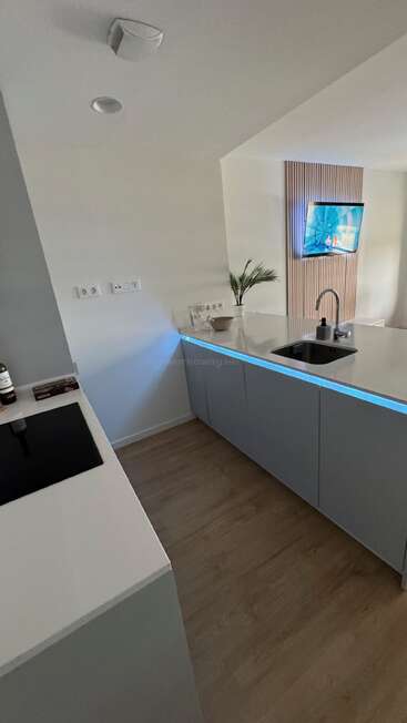 Cette image montre une cuisine moderne avec des armoires élégantes, un évier, une table de cuisson et un éclairage sous le comptoir. Un téléviseur et une plante décorent le salon, dont le sol est en bois.