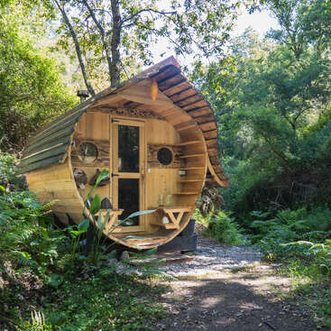 A charming, round wooden tiny house sits among lush green trees. With a unique design, it blends perfectly into the peaceful, natural forest surroundings.