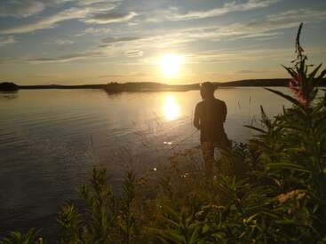 A person stands fishing by a calm lake at sunset. Golden sunlight reflects off the water, while tall grass and lush plants frame the peaceful scene.