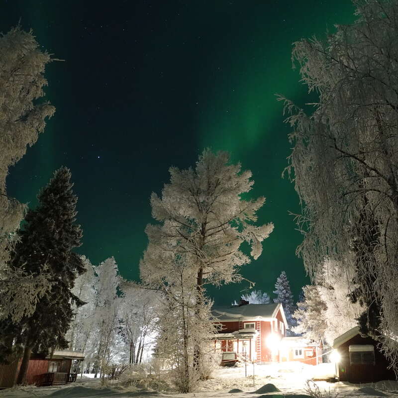 A snowy landscape at night with illuminated houses, frosted trees, and the green Northern Lights glowing in the sky, creating a serene and magical winter scene.