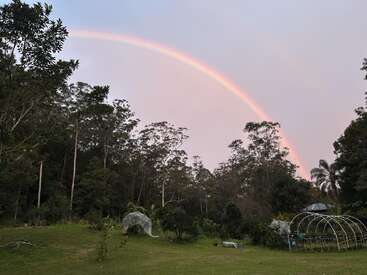 A beautiful rainbow arcs across a pastel sky above a lush green garden, with protective netting structures and tall trees surrounding the peaceful, natural landscape.