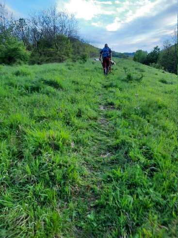L'image représente une personne s'éloignant de la caméra sur une colline herbeuse, portant un vélo et un sac à dos bleu.