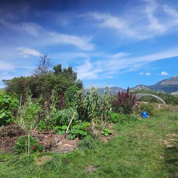 The image depicts a vibrant garden with diverse plants, situated in a lush grassy field, set against a picturesque backdrop of mountains under a clear blue sky.