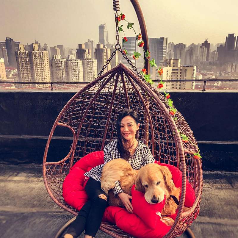 Help taking care of dogs in a luxury pet hotel in downtown Shanghai, China