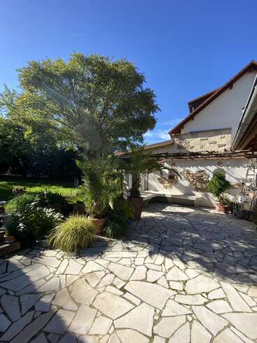 A sunny courtyard with stone paving, lush green plants, and a large tree. Part of a charming house with a tiled roof is visible, creating a peaceful atmosphere.