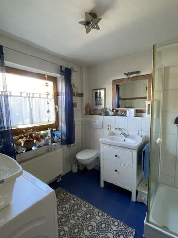 This bathroom features blue floor tiles, a patterned rug, white fixtures, a shower, vanity with mirror, window with plants, and decorative accessories adding warmth and character.