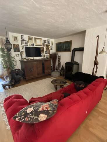 A cozy living room features a bright red sofa, eclectic wall art, a wood stove, tall giraffe statue, indoor plants, and a warm, inviting atmosphere.