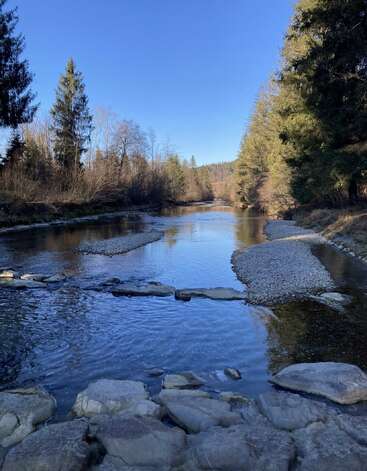 Ein ruhiger Fluss fließt durch einen Wald, umgeben von hohen immergrünen und kahlen Bäumen. Glatte Steine und Kieselsteine liegen unter einem klaren blauen Himmel am Flussufer.