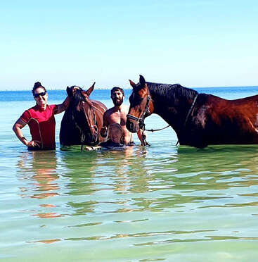 Three people and two horses stand together in shallow ocean water, smiling and enjoying a sunny day. The sea and clear blue sky are visible.