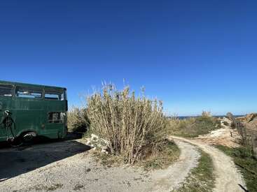 A green double-decker bus is parked on a dirt road beside tall grasses under a bright blue sky, with the ocean visible in the distance.