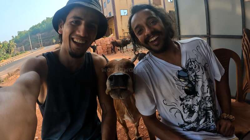 Two smiling men sit outside, taking a selfie with a friendly cow between them. The background shows a rural street scene, trees, and buildings, creating a cheerful vibe.