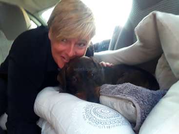 A imagem mostra uma mulher de cabelos loiros e camisa preta, sorrindo e acariciando um cachorro marrom no banco de trás de um carro.