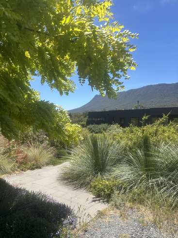 Bright sunlight filters through green leaves. A winding stone path cuts through lush, native foliage. In the distance, a dark building sits beneath a scenic mountain.