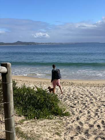 Eine Person läuft barfuß mit einem kleinen braunen Hund an einem Sandstrand entlang. Unter einem blauen Himmel mit vereinzelten Wolken rollen sanft die Wellen heran.