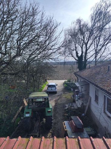 Un tractor verde y un coche blanco están aparcados en un camino rural, rodeados de árboles sin hojas y de una casa rústica, en un día claro y soleado.
